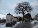 DSCN5456.JPG