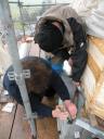 DSCN5065.JPG