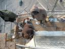 DSCN5416.JPG