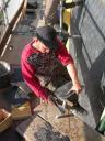 DSCN9562.JPG